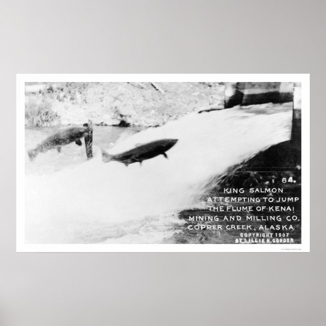 Poster Saumon Jumping Alaska 1907 (Devant)
