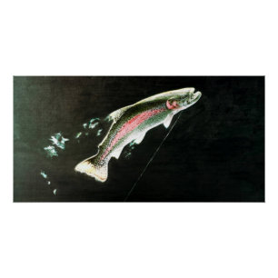 Poster Saupoudrage de truite arc-en-ciel