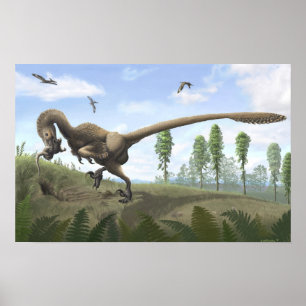 Poster Saurornitholestes Imprimer