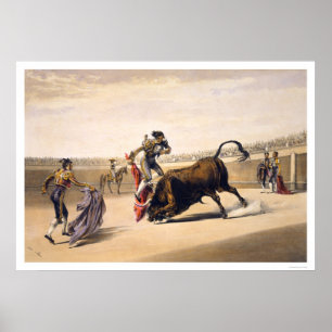 Poster Saut d'un Taureau