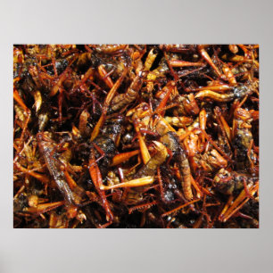 Poster Sauterelle frite (Takkataen Thot) Cuisine asiatiqu