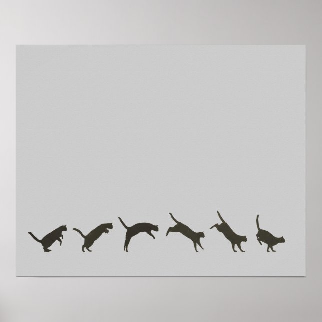 Poster Sauts de chats (Devant)