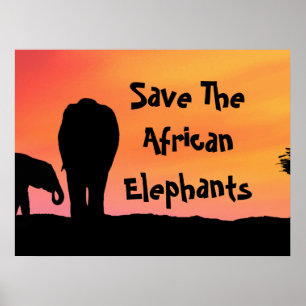 Poster Sauver les éléphants d'Afrique
