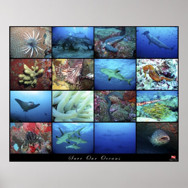 Poster Sauver nos océans (Devant)