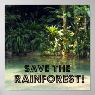 Poster Sauvez la forêt tropicale !