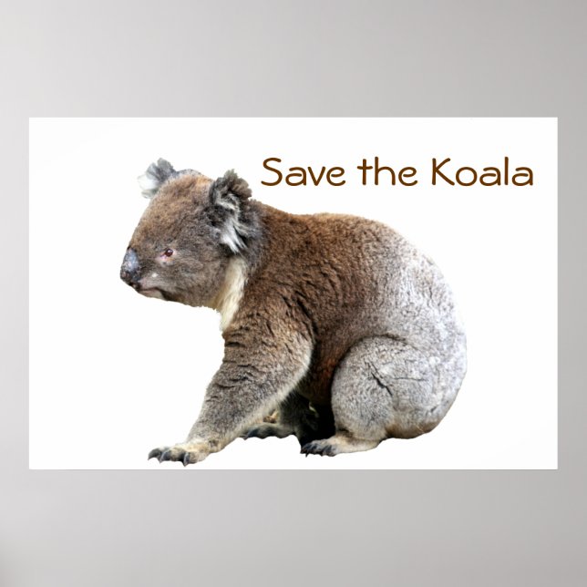 Poster Sauvez la Koala (Devant)