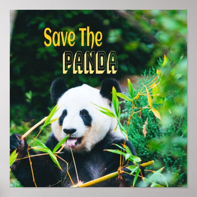 Poster Sauvez Le Panda (Devant)