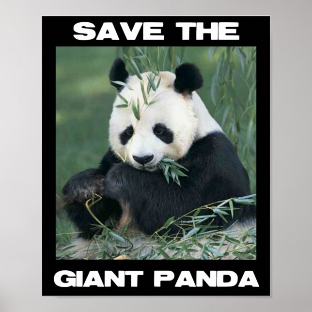 Poster Sauvez le panda géant (Devant)