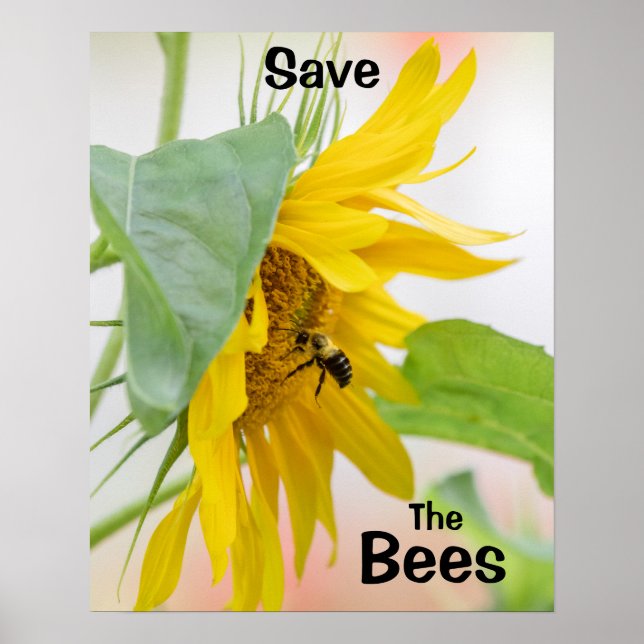 Poster Sauvez les abeilles (Devant)