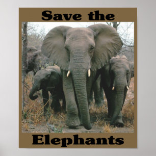 Poster Sauvez les éléphants