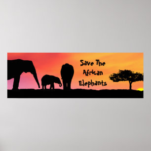 Poster Sauvez les éléphants africains