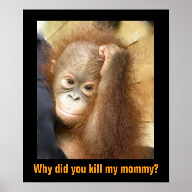 Poster Sauvez les espèces en péril Orphan Orangutan (Devant)