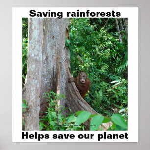 Poster Sauvez les forêts tropicales