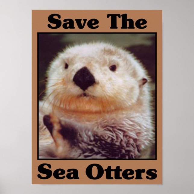 Poster Sauvez les loutres de mer (Devant)