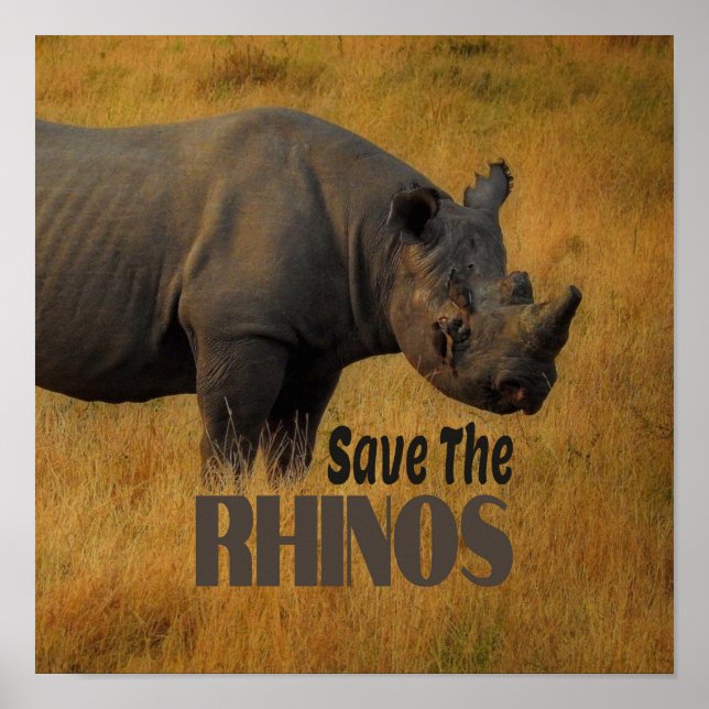 Poster Sauvez Les Rhinos (Devant)