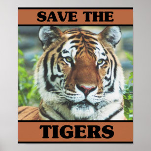 Poster Sauvez les tigres