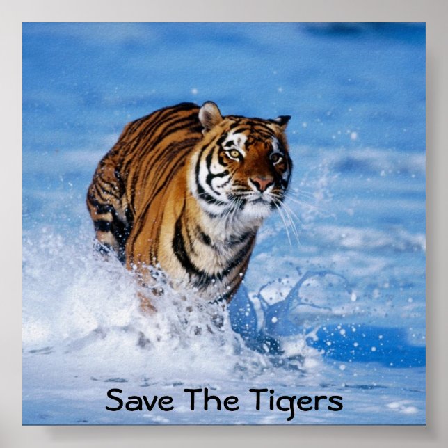 Poster Sauvez Les Tigres (Devant)