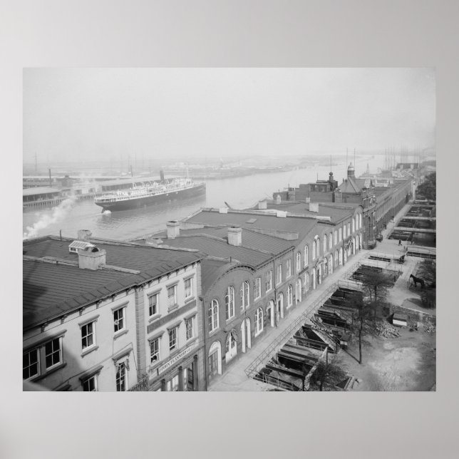 Poster Savannah (Devant)