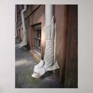 Poster Savannah Gargoyle encadré