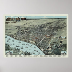Poster Savannah Georgia 1891 Oiseaux Vue des yeux Carte V
