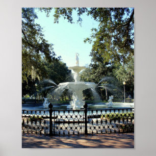 Poster Savannah Series : Fontaine
