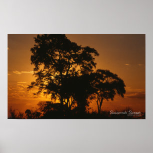 Poster Savannah Sunset