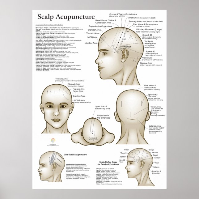 Poster Scalp Head Acupuncture Points (Devant)