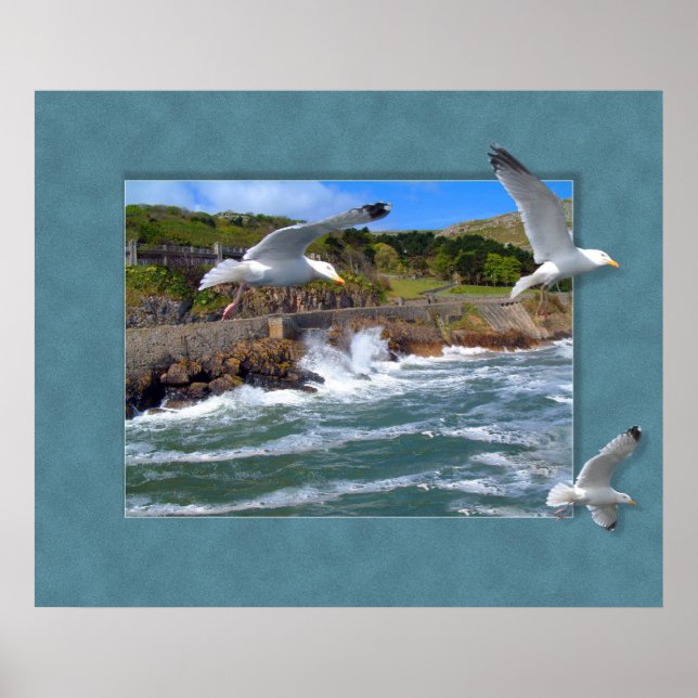 Poster Scape Seagull (Devant)