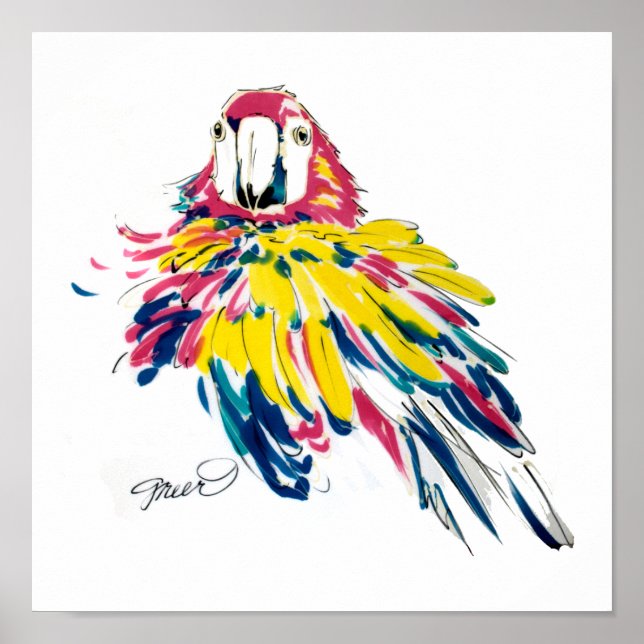 Poster Scarlet Macaw (Devant)