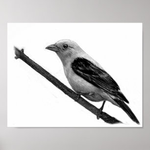 Poster Scarlet Tanager