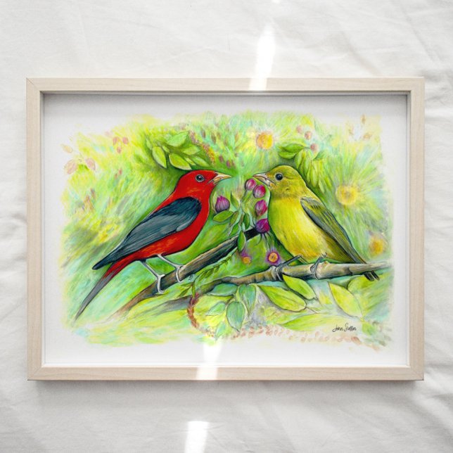 Poster Scarlet Tanager Birager Aquarelle Art Imprimer (Créateur téléchargé)