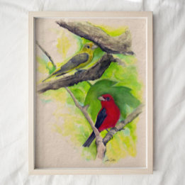Poster Scarlet Tanagers Birds Aquarelle Art Imprimer
