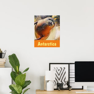 Poster Sceau de natation faunique créatif Voyage Antarcti