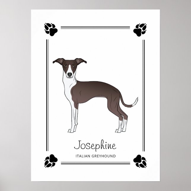 Poster Sceau Et Blanc Italien Greyhound Avec Pattes Et Te (Devant)