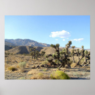 Poster Scène 06 de désert de Mojave