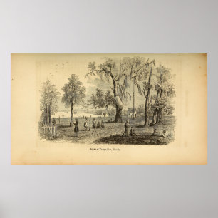 Poster Scène à Tampa Bay