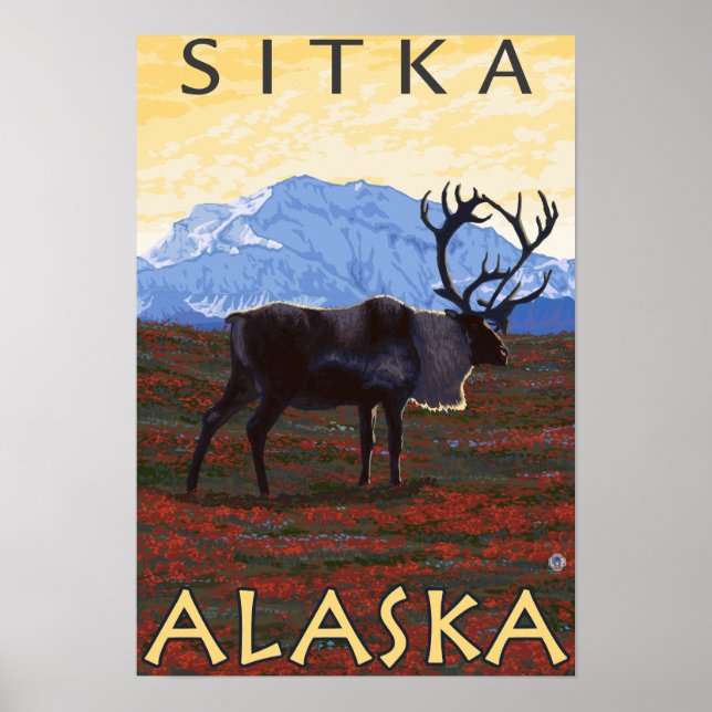 Poster Scène Caribou - Sitka, Alaska (Devant)