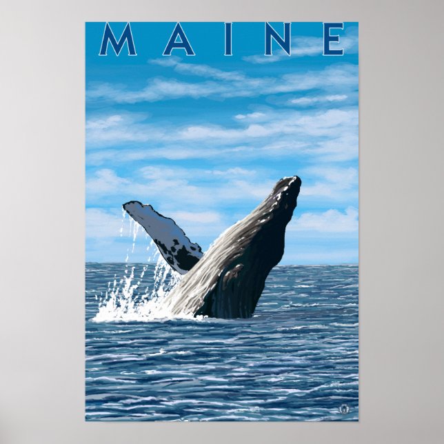 Poster Scène de baleines à bosse du Maine (Devant)