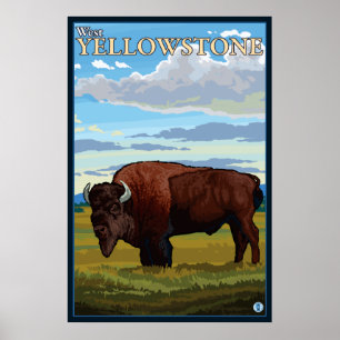 Poster Scène de bison - Yellowstone occidental, Montana