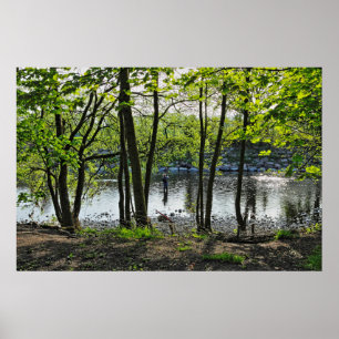 Poster Scène De Bois. Blackweir Woods, Cardiff