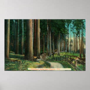 Poster Scène de bois Eugène, OR