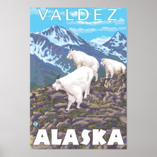 Poster Scène de chèvres de montagne - Valdez, Alaska
