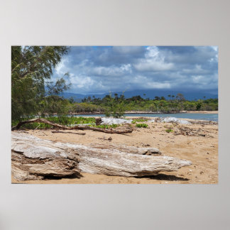 Poster Scène de la plage de Driftwood
