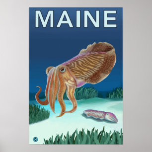 Poster Scène de MaineCuttlefish