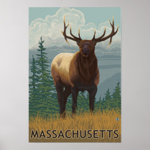 Poster Scène de MassachusettsElk