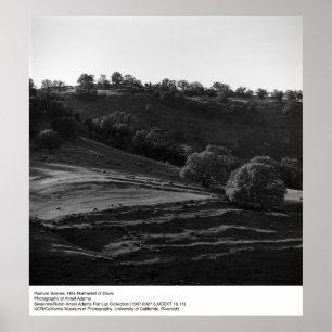 Poster Scène de pâturage par Ansel Adams
