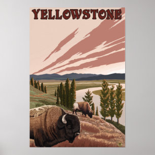 Poster Scène de YellowstoneBison