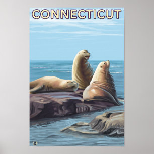 Poster Scène des lions de mer Connecticut