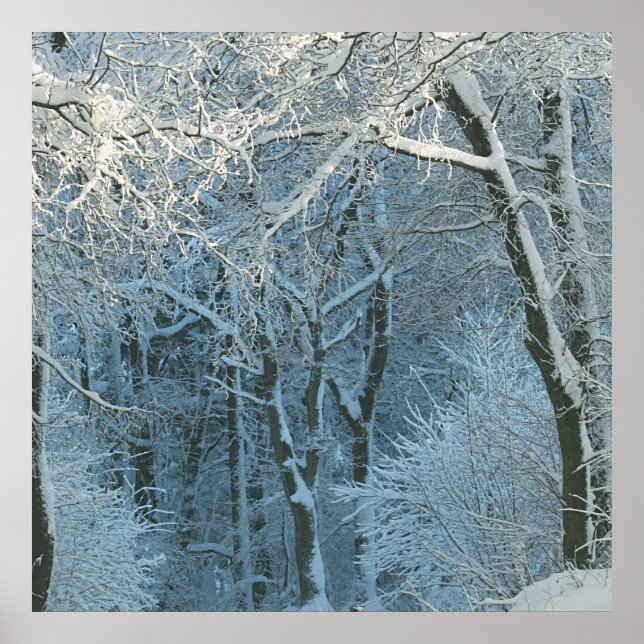 Poster Scène d'hiver Wonderland Snowy Arrière - plan (Devant)