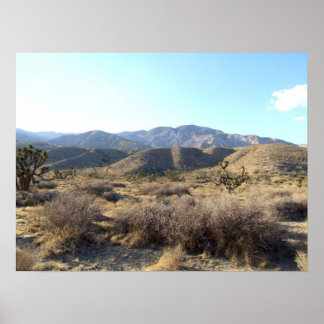Poster Scène du désert de Mojave 05